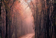 [网球]ATP最新排名 三位中国选手都有所下降.