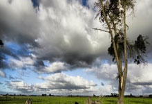 黑白体育:膝伤还没好!莱昂纳德将从赛季开始无限期缺阵.