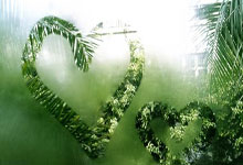 黑白体育：国足最大水货确定，球迷建议直接离队，伊万科维奇不手软.